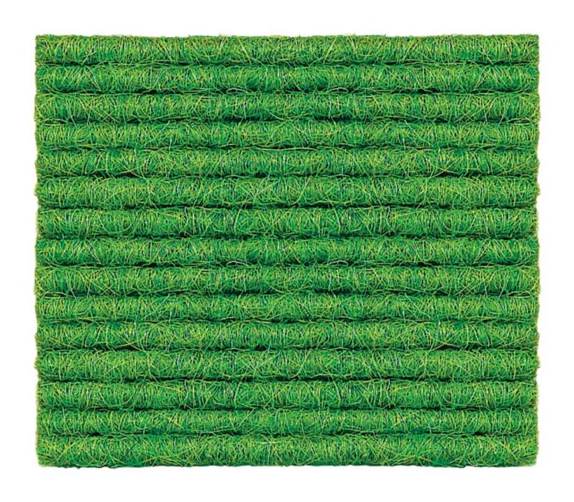 Tretford Naturhaar Teppich T 580 - hellgrün