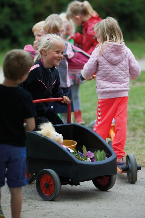 Dreirad mit Transportbox "Kangaroo" für Kinder von 4 - 7 Jahren