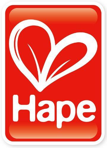 Hape Toys