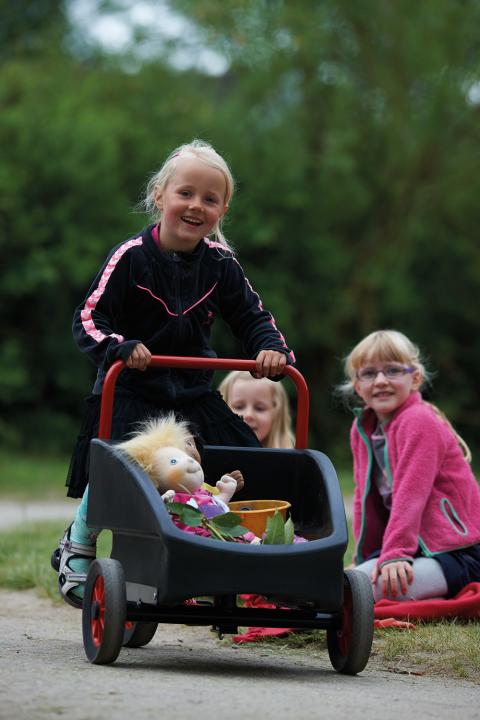 Dreirad mit Transportbox "Kangaroo" für Kinder von 4 - 7 Jahren