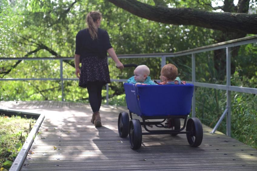 Beach Wagon lite - Bollerwagen