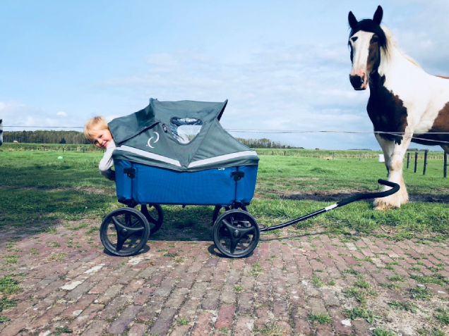 Verdeck für Beach Wagon lite - Zubehör